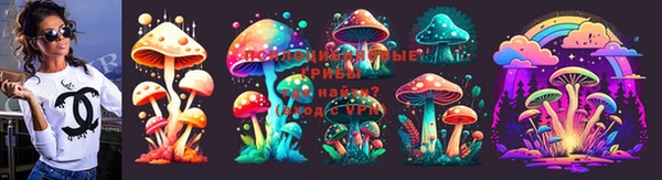 стафф Абаза